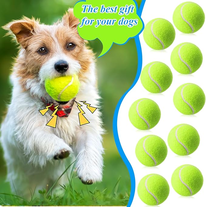 Skylety 100 Pcs 2.5 inch Squeaky Tennis Balls Bulk for Dogs Bouncy Floatable Tennis Balls Dog Playing Supplies Training Interactive Fetch Toys for Small Medium Puppy Exercise and Practice (Green)