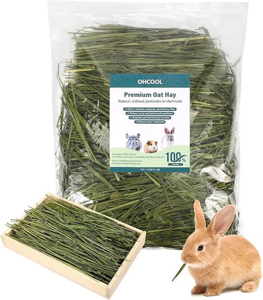 Premium Oat Hay for Pets - Dust Free Natural Green Fresh Pet Food Hay for Rabbits, Guinea Pigs, Chinchillas, Hamsters & Gerbils - 1.1lbs