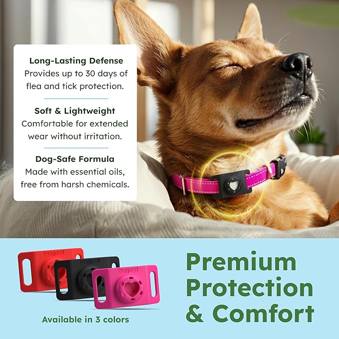 BugMD Paw Guardian Flea & Tick Pendant (3-Pack) with AirTag Holder – Plant-Based Flea & Tick Prevention for Dogs – Pet Collar Tag & GPS Tracker Holder for Dogs – Black