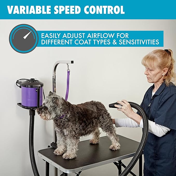 GustyAir Mini Dog Blow Dryer - Professional, Commercial Grade Force Dryer for Groomers - Quiet, High Velocity Air Dryer, Hose Attachments, Variable Speed, No Heating Element - USA Company - Black