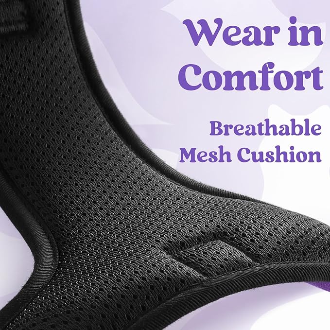 rabbitgoo Dog Harness Small Sized, No Pull Pet Harness with 3 Buckles, Adjustable Soft Padded Vest with Control Handle, Walking Reflective Pet Vest for Small Dogs, Purple, S