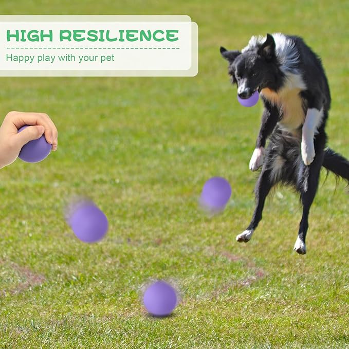 Shappy 24 Pieces Rubber Dog Tennis Balls for Dog Colorful Catching Pet Balls for Fetch Training 2.4 Inch Interactive Bounce and Floatable Toy for Park Beach