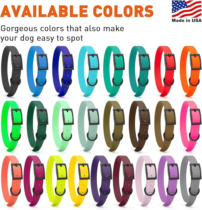 Dogline Biothane Waterproof Dog Collar Strong Coated Nylon Webbing with Black Hardware Odor- Proof for Easy Care Easy to Clean High Performance Fits Small Medium or Large Dogs, Cerulean Blue