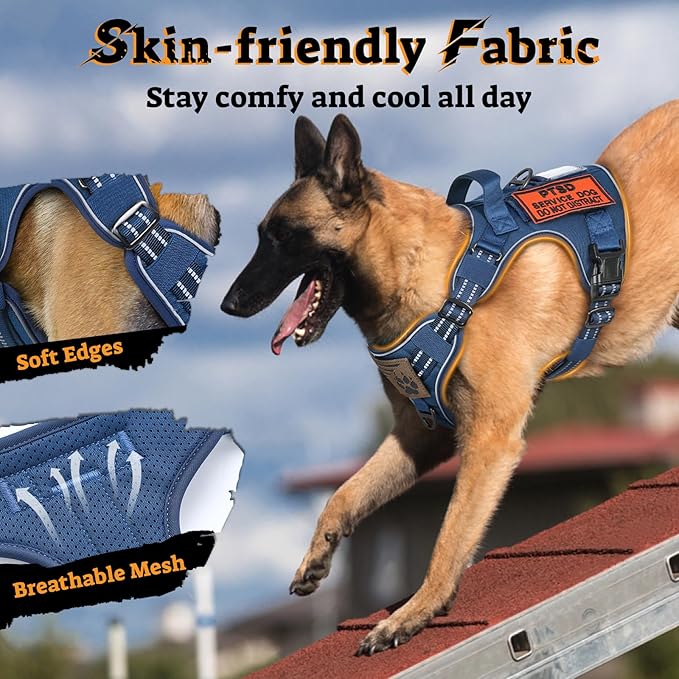 rabbitgoo Dog Harness Small Sized No Pull, Tactical Service Pet Vest with Molle and Control Handle, Adjustable and Reflective Military Harness for Easy Walking and Training, Blue, S