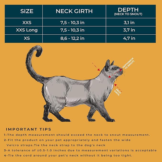 Cat Cone Collar – Colorful Cat Pattern - Lightweight Recovery Cone for Cats, Anti-Lick & Anti-Scratch, Vet Recommended, Elizabethan Collar (Colorful, XXS [Neck Girth: 7.5"-10.3"])