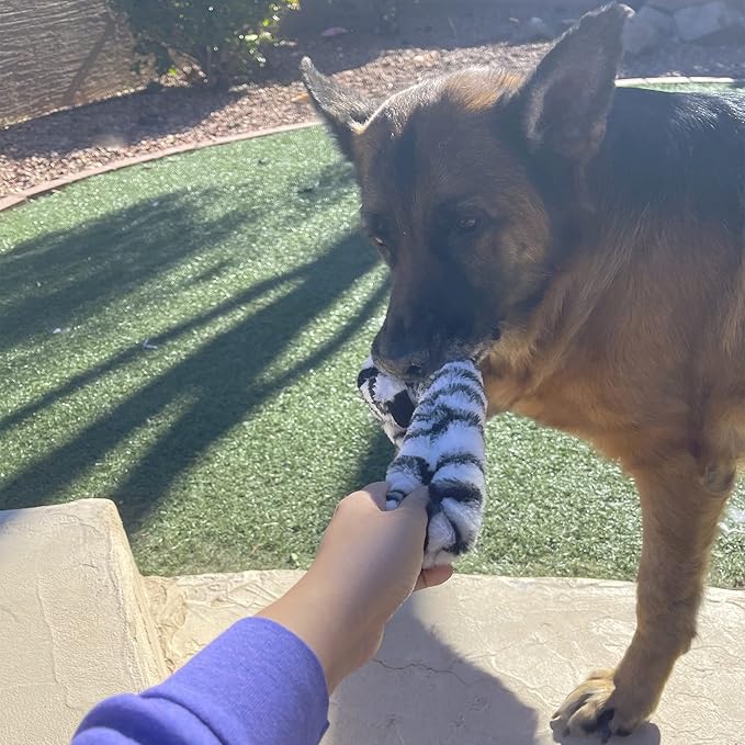 Jalousie 5 Pack Stuffingless Dog Squeaky Toys Dog Toy w/Durable Liner No Stuffing Dog Toy - Dog Toys Crinkle Paper Squeaker Toy for Medium Large Dogs (5 Pack Bungee Body Stuffingless Crinkle Paper)