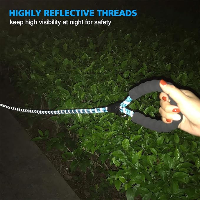 Heavy Duty Dog Leash - Comfortable Padded Handle, 5 ft Long - Dog Leashes for Small Medium Large Dogs (Leash+Collar XS Neck 10.5"-13.5", Blue)