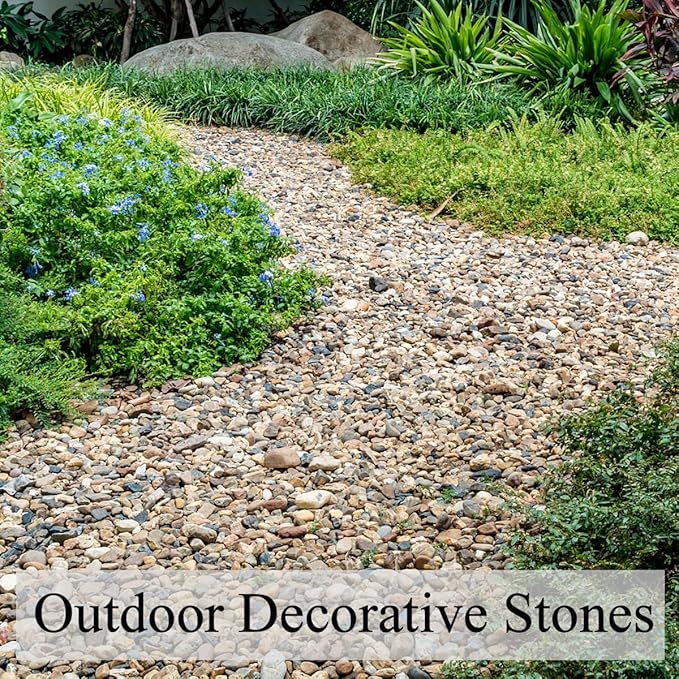 10LB Pea Gravel for Landscaping,1/4 Inch Aquarium Gravel. Decorative River Rocks for Fish Tank Succulent Vase Cactus Bonsai Plant Soil Cover and Outdoor Landscaping Rocks