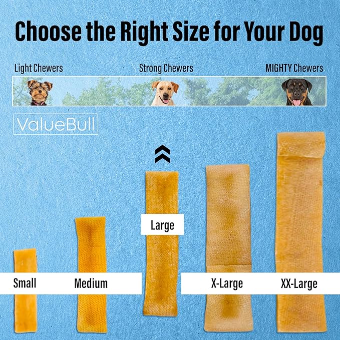 ValueBull Himalayan Yak Cheese Dog Chews, Large, 10 ct - Long Lasting for Aggressive Chewers, All Natural, Healthy & Safe, Low Odor Nepal Yak Milk Chews