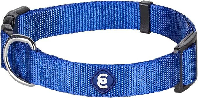Blueberry Pet Essentials Medium Dog Collar in Royal Blue | Adjustable & Eco-Friendly Durable Nylon Strap | Classic Collar for Medium Dogs, Boy & Girl Pets