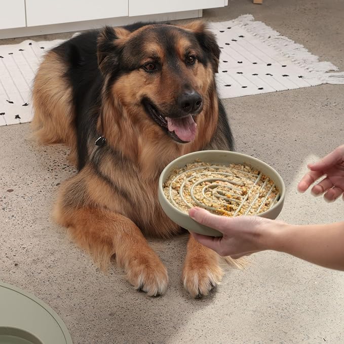 The Slowdown Bowl Silicone Slow Feeder for Dogs & Puppies, Slow Eating, Modern Lick Mat Design, Reduces Gulping, Fits 2.5 Cups 9.5” Across x 1.5” Tall, Mealtime Challenge, Large-Spruce