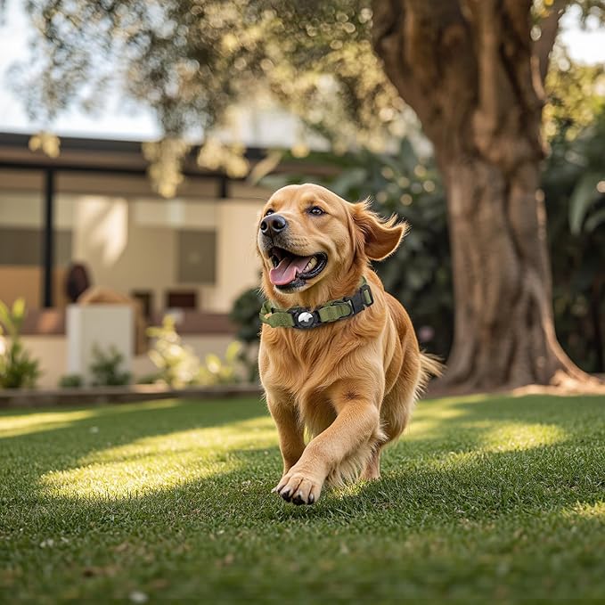 Tactical AirTag Dog Collar Leash Set - Heavy Duty, Adjustable GPS Collar Compatible with Apple AirTag, with Holder & Control Handle for Medium/Large Dogs [Green, XL]