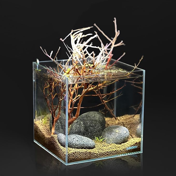 LANDEN Taiji Stone Natural Rocks(18lbs, 2~9 inches,6pcs) for Aquascape and Bonsai, Aquarium, Paludarium, Fish Tank Decoration Rocks, Landscaping Model Stone