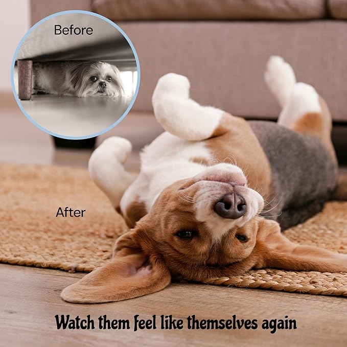 MalsiPree Calming Chews for Dogs - 145 pcs Salmon - Helps Regulate Mood - Anxiety Relief Treats - No Sedative Effect - Freeze Dried - with Passion Flower & Melatonin