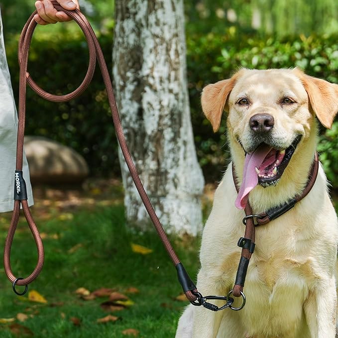 Rope Dog Leash, 4 ft Heavy Duty Dog Leash with Aviation Aluminum Auto Locking Carabiner, Strong Nylon Pet Lead for Small, Medium, Large Dogs (Green, 4FT)