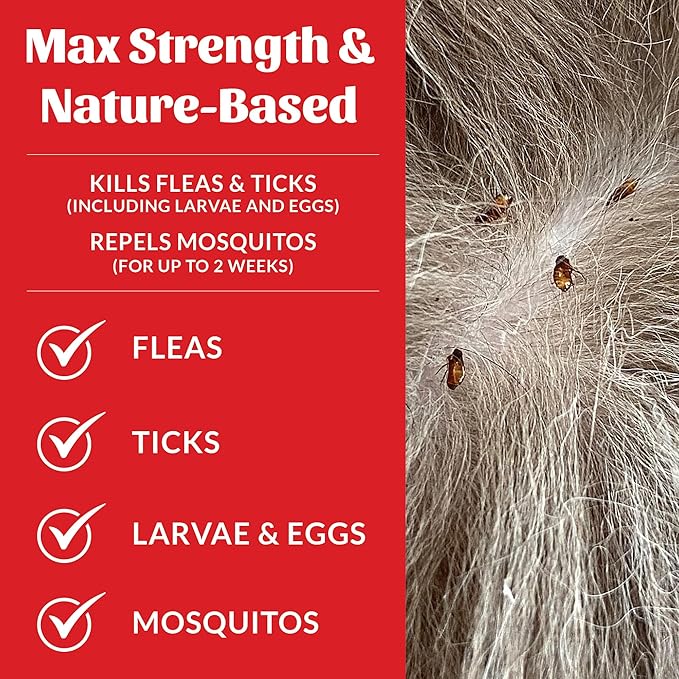 Skout's Honor Flea and Tick Yard Spray - Natural Peppermint & Cedarwood Formula, Helps to Protect from and Against Fleas, Ticks and Mosquitos, Covers upt o 5,000 Sq F, 32 oz.