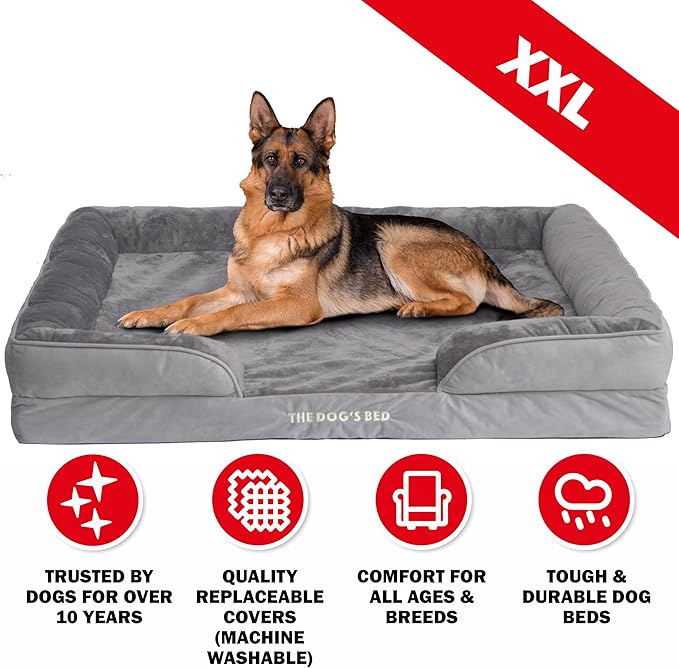 The Dog’s Bed, Orthopedic Standard Foam Waterproof Dog Bed with Standard Support, XXL Silver Grey Plush, Waterproof, Supportive Dog Bed with Replaceable Covers, Veterinary Approved
