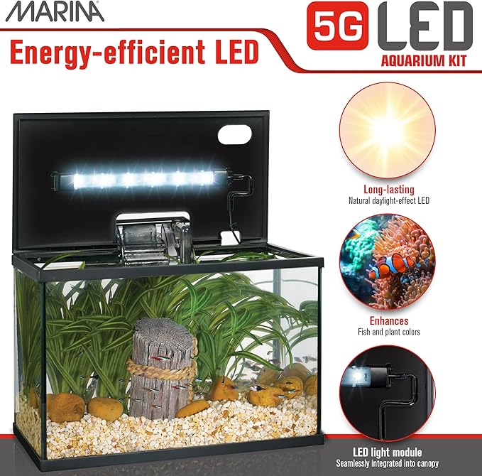 Marina 5 Gallon (19 L) LED Aquarium Kit – Ideal for Beginner Aquarists and New Fish-Keepers