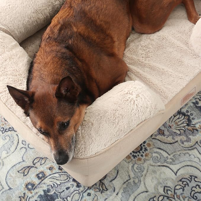 TOWN & COUNTRY EVERYDAY CuddleTown Comfy Solid Bolster Sofa Pet Bed, Supportive & Calming Egg Crate Foam, Non-Slip Bottom, Machine Washable Cover, Beige, Medium 28"x23"x8"