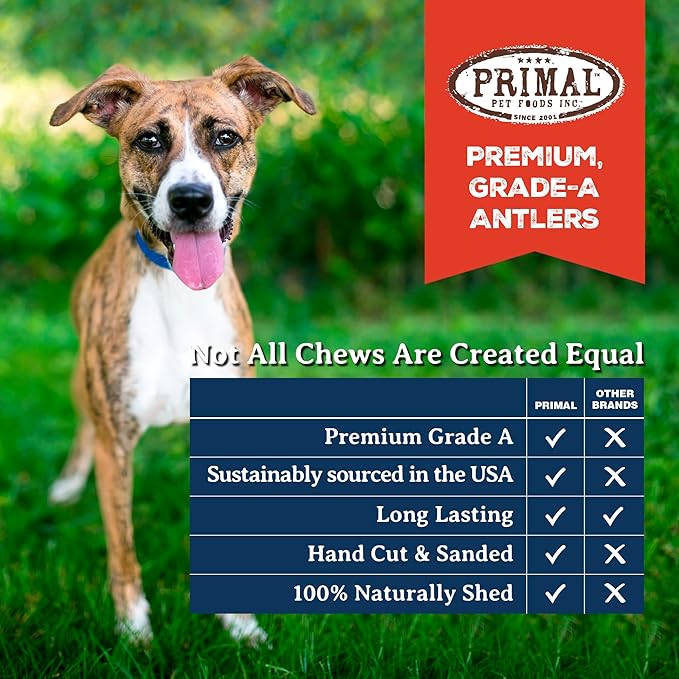 Primal Antlers for Dogs, Grade A Split Moose Antlers for Large Canines 30-45 lb, Natural Chews for Aggressive Chewers, Naturally Shed, Long Lasting Dog Bones, 1 ct