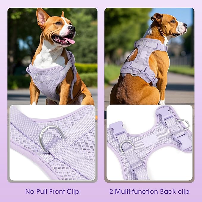 Wisedog Mesh Breathable Dog Harness: No Pull Harness with 3 Fast-Release Buckles Adjustable for Walking & Training for Small Medium Large Dogs (Lilac, M: Neck=17"-22"/Chest=15"-28")