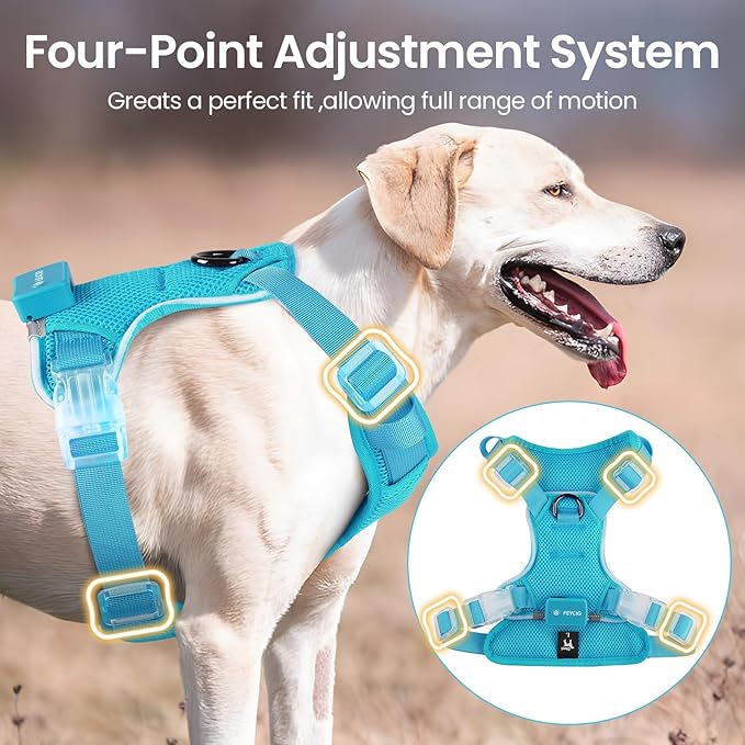 Light Up Dog Harness,Reflective Pet Harness Rechargeable,Led Dog Vest Harness for Night Walking,Adjustable Dog Safety Vest for Small Medium Large Dogs-No Pull,Blue,XL
