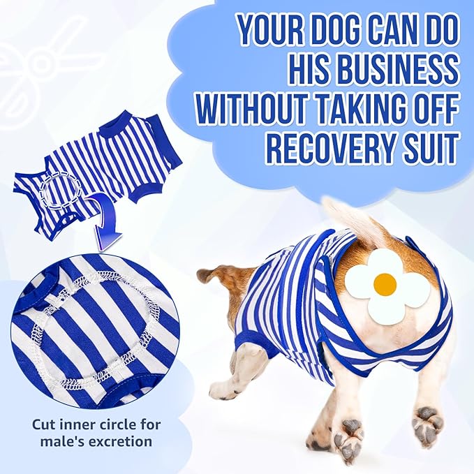 Lukovee Recovery Suit for Dogs - Zipper Onesie for Female & Male Dogs, Abdominal Wounds Cone E-Collar Alternative, Prevent Licking - Spay Recovery Suit (Small, Blue & White)