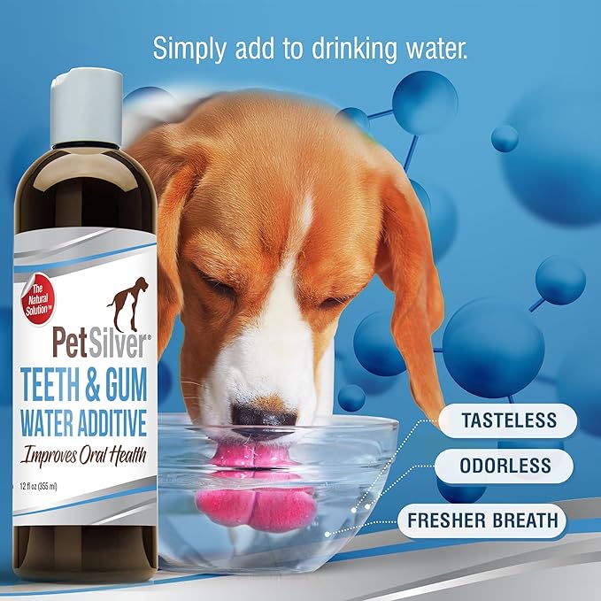 PetSilver Teeth & Gum Water Additive for Dental Care - Pet Breath Freshener - Targets Tartar, Plaque & Eliminates Bad Breath - Dog Oral Care & Cat Teeth Cleaning - No Brushing & Tasteless - 12 fl oz