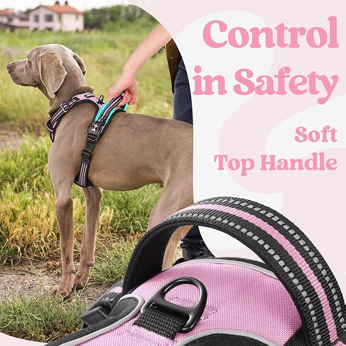 rabbitgoo Dog Harness Small Sized, No Pull Pet Harness with 3 Buckles, Adjustable Soft Padded Vest with Control Handle, Walking Reflective Pet Vest for Small Dogs, Pink, S