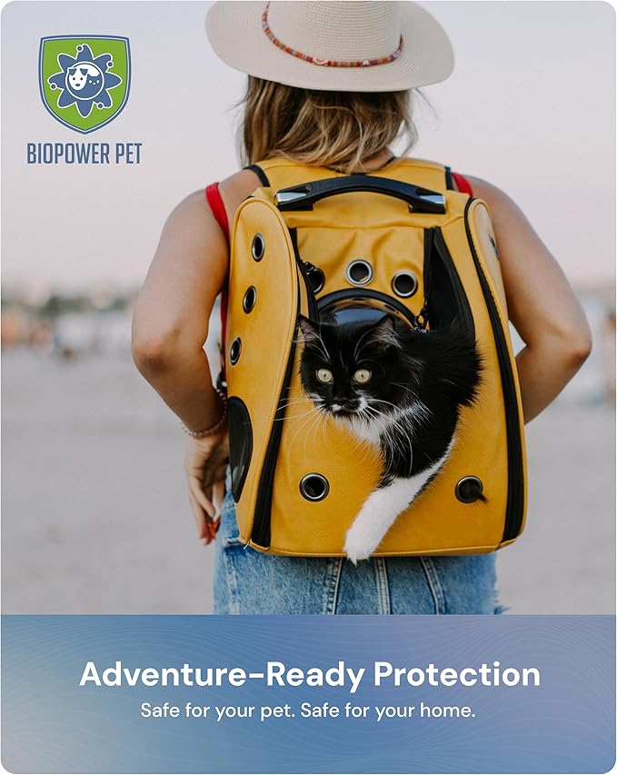 Natural Flea & Tick Repellent Collar Tag for Dogs & Cats – BioPower Pet Shield – Safe for Pets When Used as Directed – Lasts 1 Full Year - Regular Tag (3Pack)