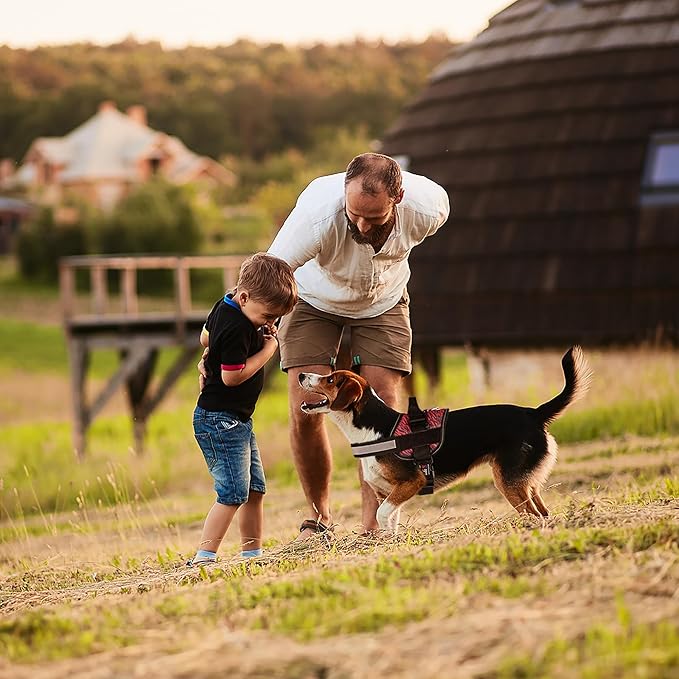 Dogline Dog Harness, Reflective No-Pull Adjustable Vest with Handle for Walking, Training, Breathable, No - Choke Harness for Small, Medium or Large Dogs Room for Patches Zebra Black/Red S 18"-24"