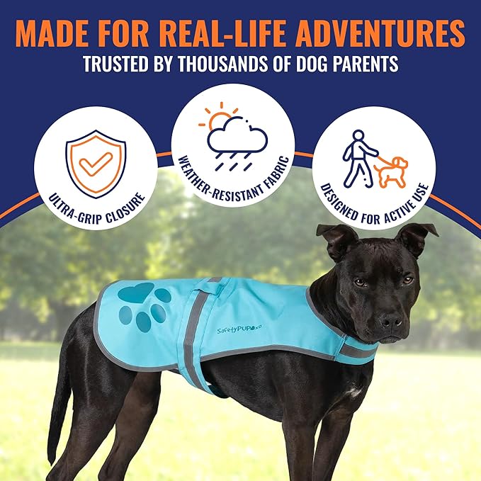 Dog Reflective Vest – Hi-Vis Fluorescent Visibility That Helps to Safeguard Your Pet On/Off Leash in Urban & Rural Areas (Teal, X-Small)