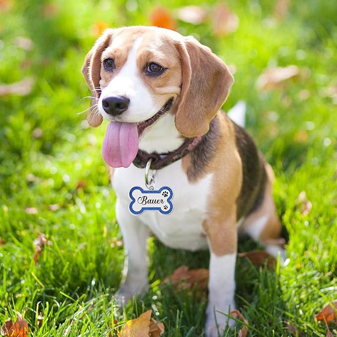 Dog Tags Personalized for Pets Dog Name Tags Personalized Dog Tag Engraved with Any Name & Text Custom Dog ID Tags Glitter Bone ID Tag for Puppy Cat (Blue L, Bone)