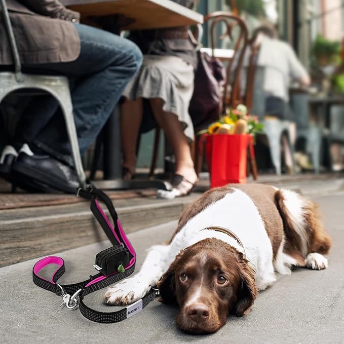 Dog Poop Bag Holder for Leashes - Dog Poop Bag Dispenser and Treat Holder with 2 Waterproof Pouches for Pet Waste Bags and Walking Accessories + 1 Free Roll - Leashrr 2.0 (Teal)