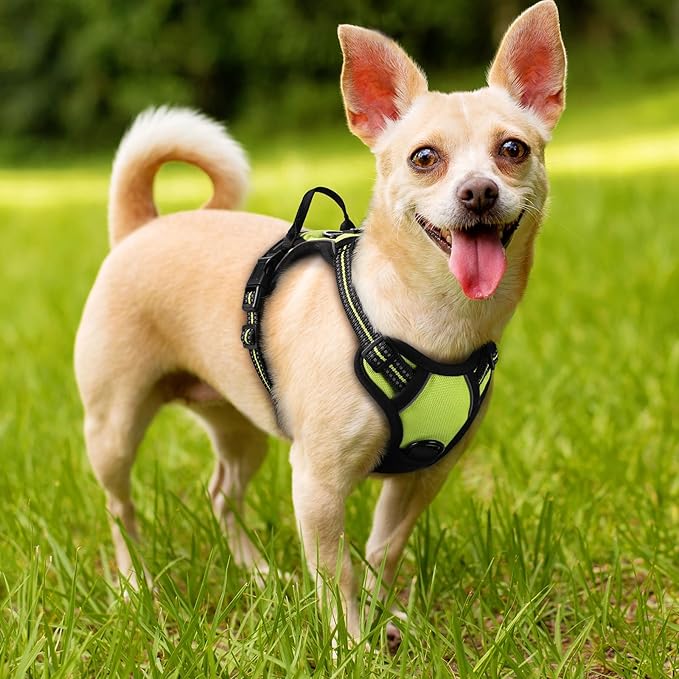 rabbitgoo Dog Harness No Pull with 2 Leash Clips, Adjustable Soft Padded, Reflective Oxford No Choke Pet Vest with Easy Control Handle for Puppy, Green, XS