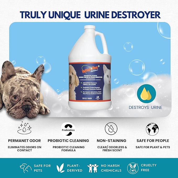 Whip-Pet Pet Odor Eliminator and Stain Remover - Enzymatic Cleaner for Dog Urine and Carpet Odor Eliminator - Pet Odor Remover - 128 fl oz / 3.78L