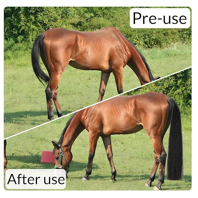 Horse Tail Extension with Braided Horsehair Loop, Blunt Cut Bottom, 3/8 lb, 28-30 inches (Natural Black)