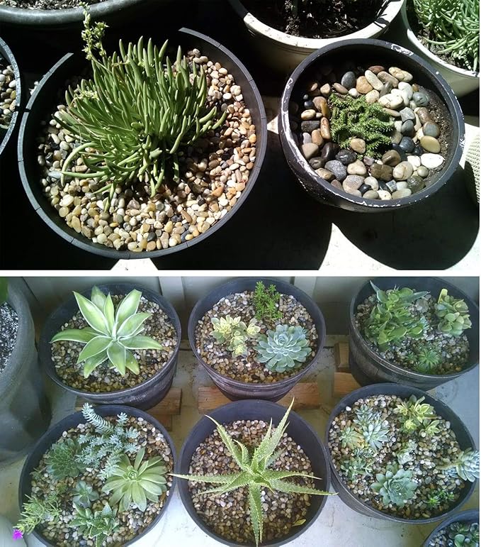 Voulosimi 18 LBS River Rock Stones, Natural Decorative Polished Mixed Pebbles Gravel,Outdoor Decorative Stones for Plant Aquariums, Landscaping, Vase Fillers