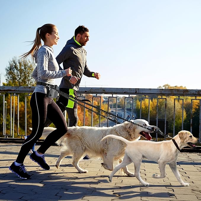 PetAmi Premium Hands Free Dog Leash for 2 Dogs, Adjustable Waist Belt Leash for Dog Walking, Fanny Pack Accessories Bag Dual Bungee Leash for Running, Hiking, Jogging, Biking, Charcoal Grey