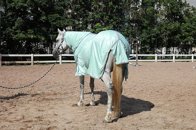 Horse Fly Sheet with Detachable Neck Cover & Belly Wrap, Adjustable Fly Sheet for Horses, Ventilated Airflow Mesh Equine Cooling Summer Flysheet Green 81