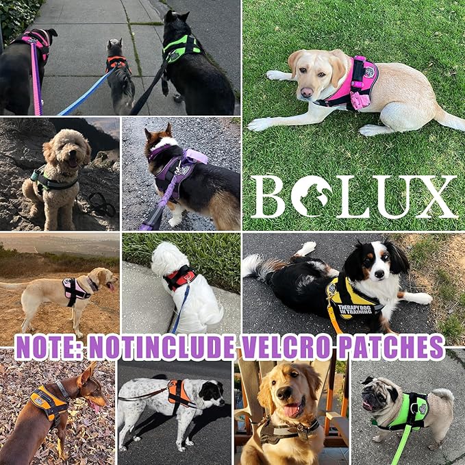 Bolux Dog Harness, No-Pull Reflective Dog Vest, Breathable Adjustable Pet Harness with Handle for Outdoor Walking - No More Pulling, Tugging or Choking (Lavender, Small (Pack of 1))
