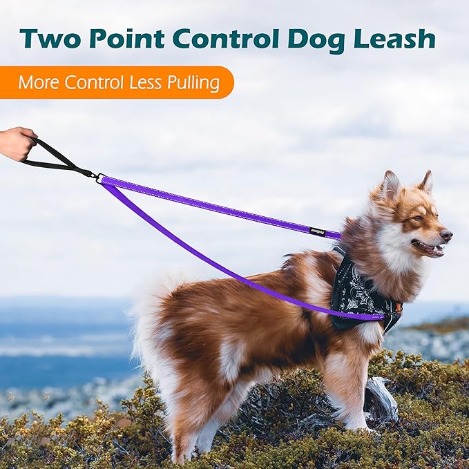 PetBonus Two Point Control Dog Leash, Works with No Pull Harnesses, No Tangle Dog Training Leashes, No Pull Padded and Reflective Walking Lead, Converts to Single Leash for Medium Large Dogs (Purple)