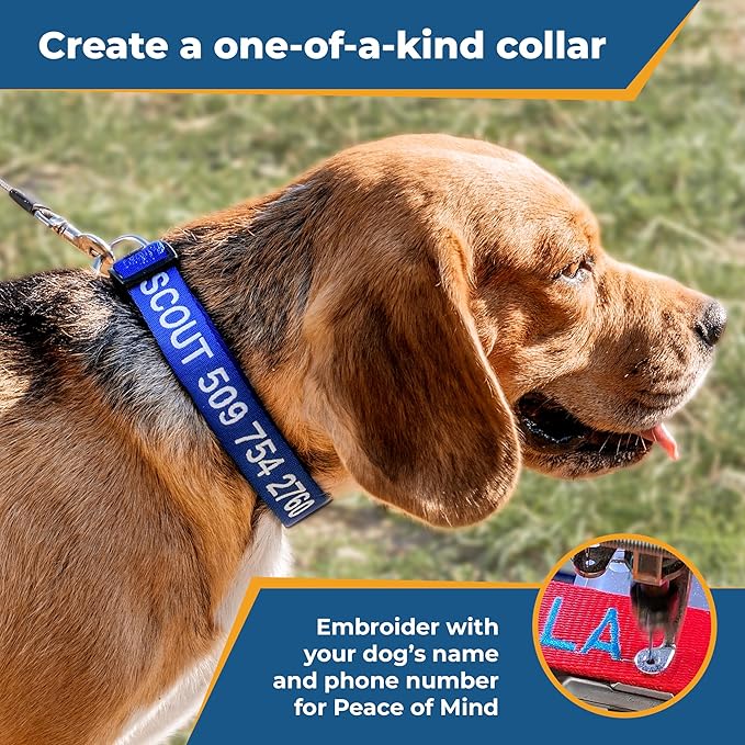 GoTags Personalized Dog Collar, Custom Embroidered with Pet Name and Phone Number in Blue, Black, Pink, Red and Orange, for Boy and Girl Dogs or Cats, Adjustable Sizes, Small, Medium, and Large