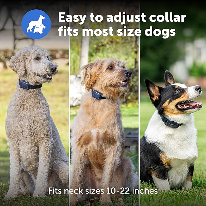 PetSafe Pro Remote Trainer Add-A-Dog Collar – Extra Collar for Dog Training Collar with Remote – Waterproof – 1000 Ft Range – Tone, Vibration and 19 Levels of Static – Sleek, Low-Profile Design