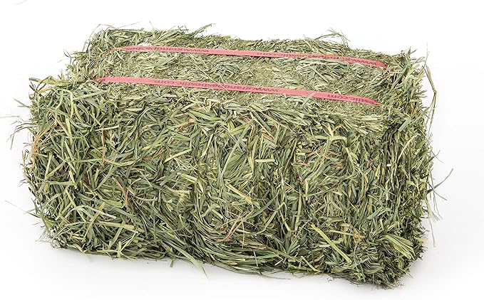 Grandpa's Best Orchard Grass Bale, 40 oz
