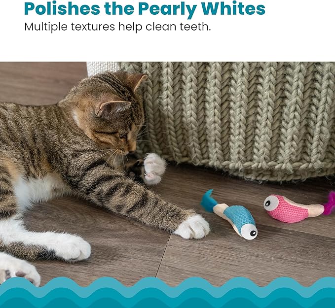 Catstages Catstages Dental Shrimpies Cat Toys, 2-pack – Interactive Catnip Dental Chew Toy to Help Clean Teeth, Fun for Play and Chewing, Multicolored