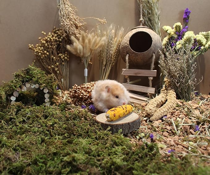 Natural Hamster Bedding - Flowers, Herbs, Sprays, Treat Cereal Grain for Cage Habitat Enclosure Decor - Hamster Chews for Dwarf Syrian Gerbils, Mice, Rat Forage - Pet Accessories
