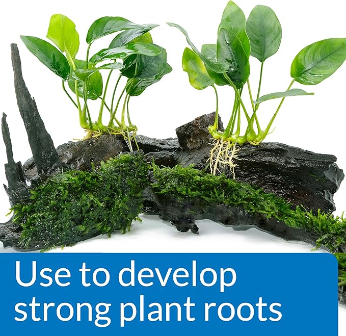 API ROOT TABS Freshwater Aquarium Plant Fertilizer 0.4-Ounce 10-Count Box