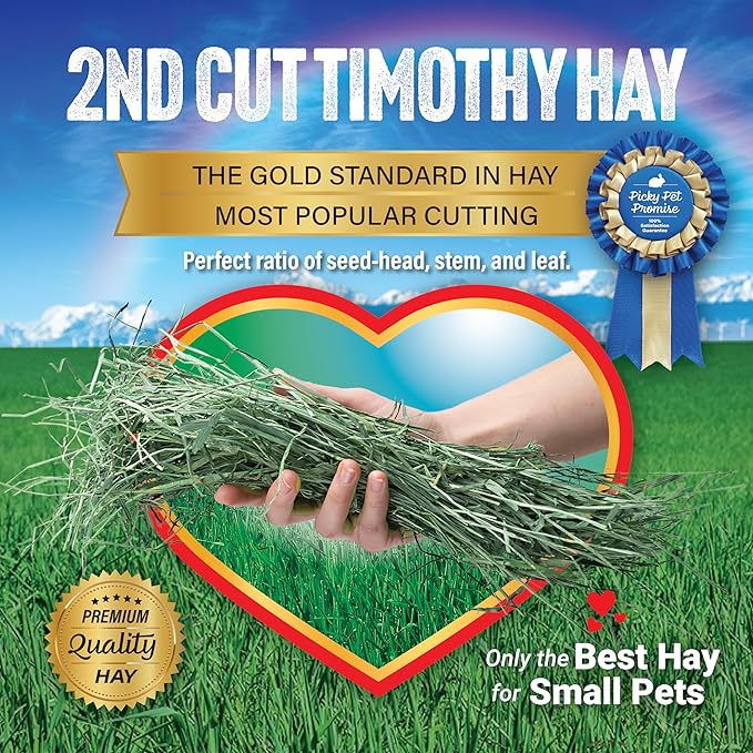 Small Pet Select 2nd Cutting Perfect Blend Timothy Hay Pet Food for Rabbits, Guinea Pigs, Chinchillas and Other Small Animals, Premium Natural Hay Grown in The US, 12 LB