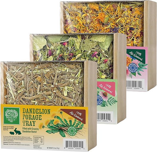 Small Pet Select Forage Tray Bundle, 3 Pack of Foraging Trays for Rabbit, Guinea Pig, Hamster or Bunny - Natural Treats, Dandelion, Flower, Herb Mix 2.5oz Each